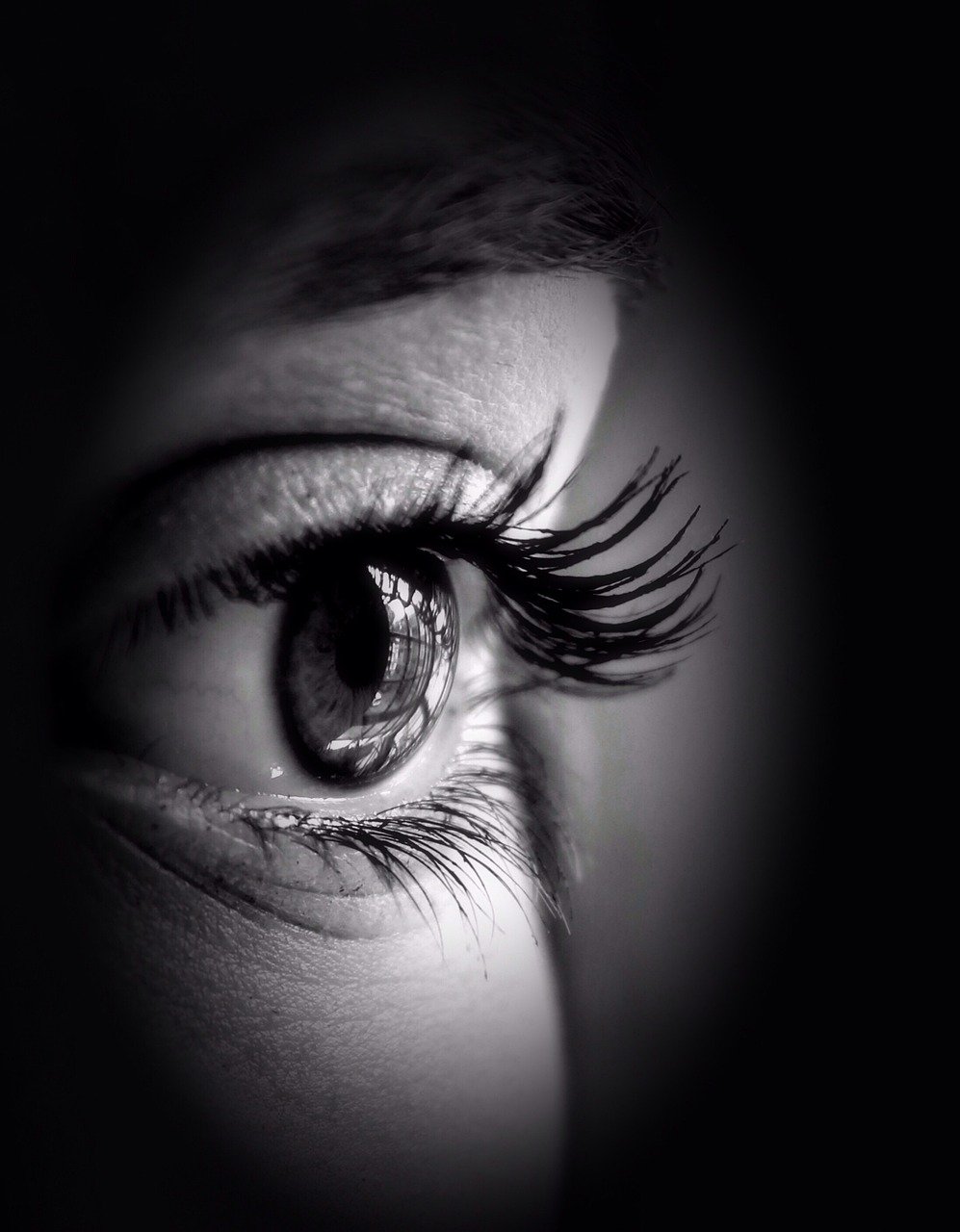 eye, pupil, iris, view, eyelash, see, watch, catch sight of, make up, cosmetics, model, beauty, black-and-white, female, pupil, iris, iris, eyelash, eyelash, eyelash, see, see, see, see, see, make up